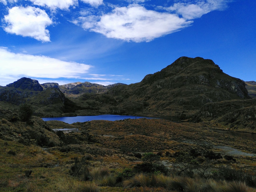 Landscape covered with brown-green Andean grass, a lagoon and mountains in the background