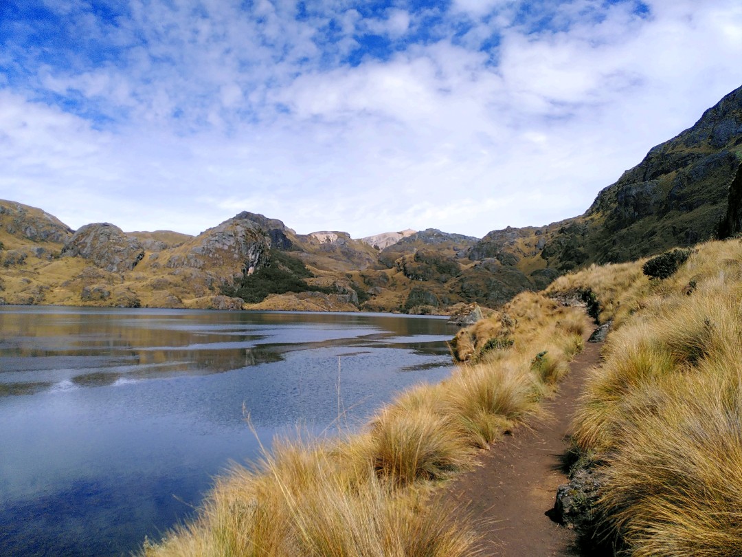 Sandy trail through Andean grass along the shore of a lake surrounded by mountains