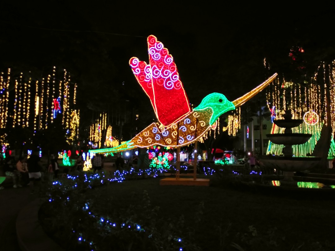 A big statue of a colourful hummingbird made from led strips on a public square illuminated with more light strips hanging from trees in the background