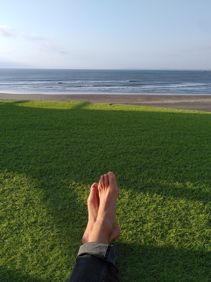 View onto a sandy beach of the blue sea with waves breaking in the distance, from the perspective of a person sitting on green grass on a spot above the beach