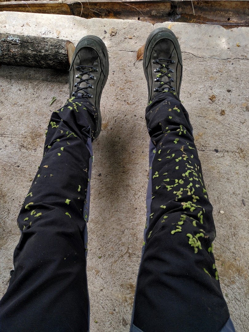 A seated person's black pants and hiking boots full of little green grass seeds