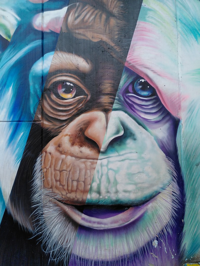 A colourful graffiti of a wise-looking monkey touching his own forehead