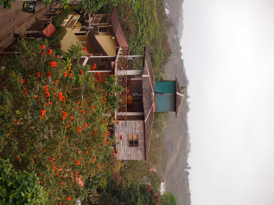 Street lined with green trees and orange flowers as well as building with wooden structures, pictured from another rooftop