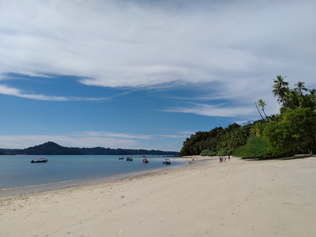 A picture-perfect sunny beach with blue water, white sand and green palms and trees